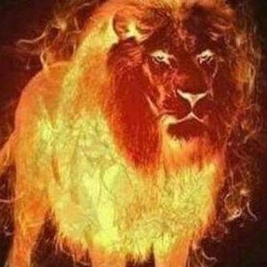 Meet your Posher, Luis